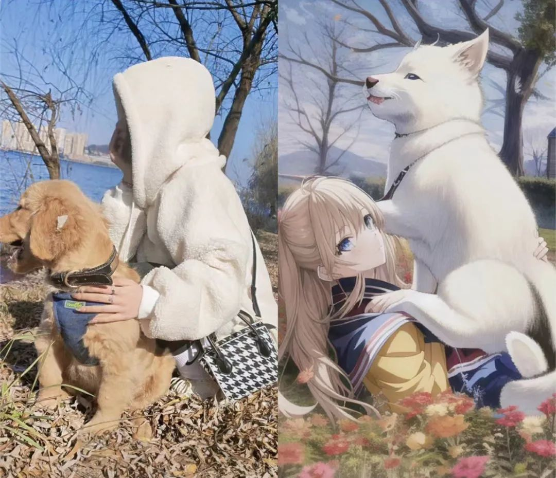 picture loss